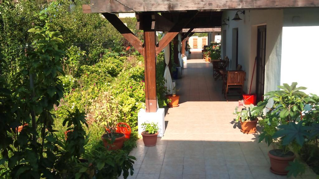 Pensiunea La Dolce Vita Băile Herculane Zewnętrze zdjęcie