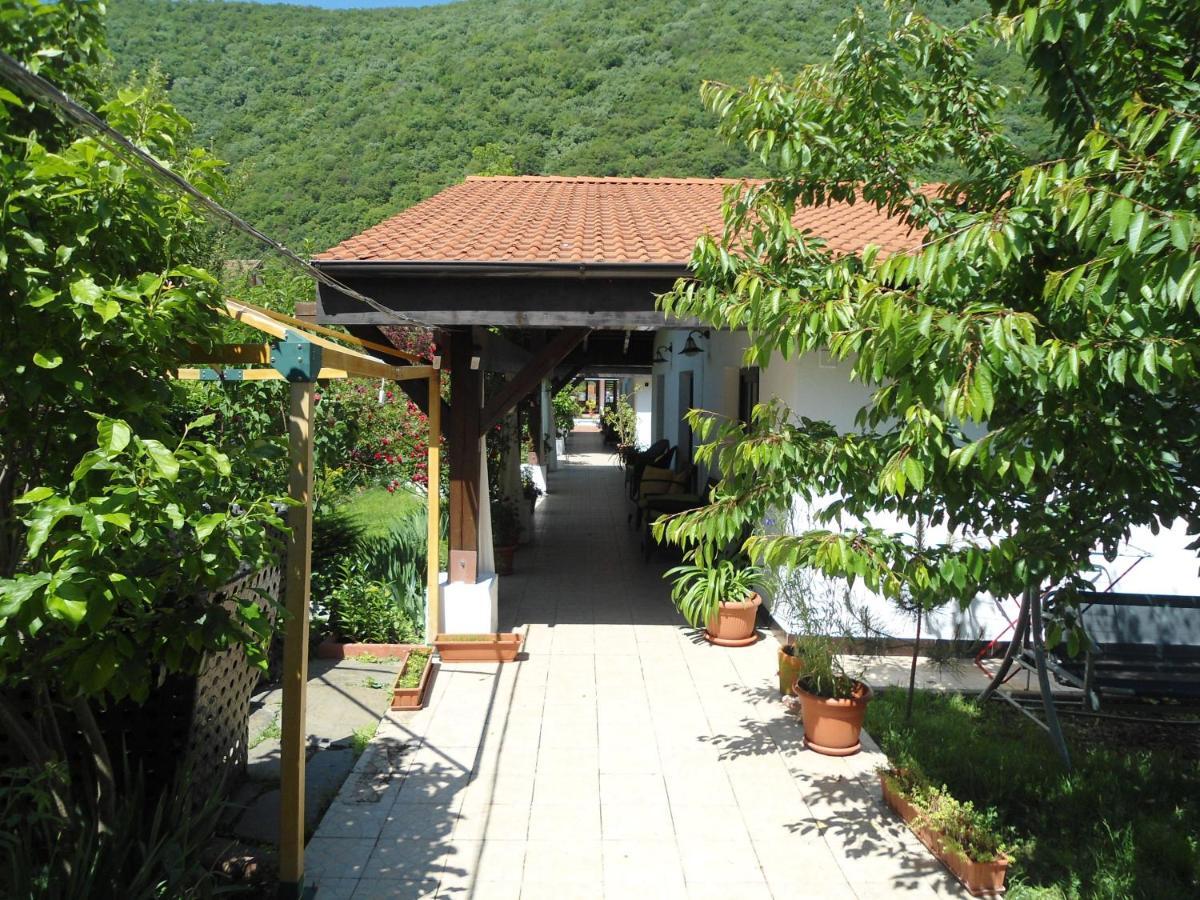 Pensiunea La Dolce Vita Băile Herculane Zewnętrze zdjęcie